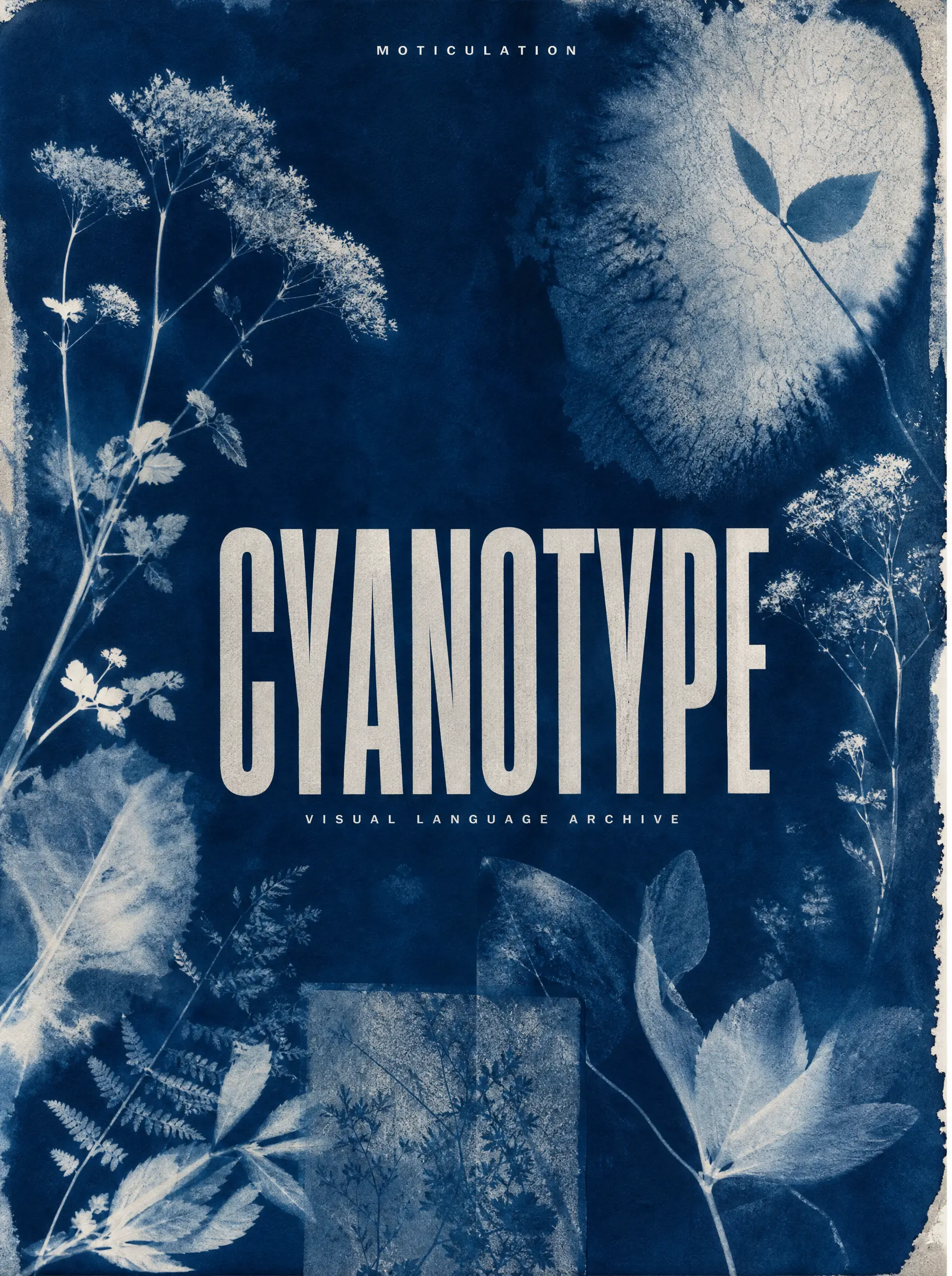 Botanical cyanotype Moticulation poster